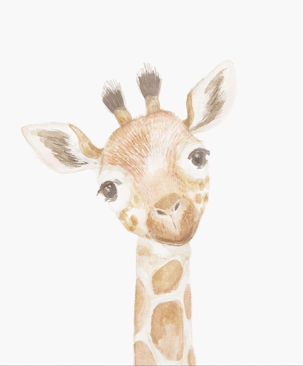 Baby giraffe sale pictures for nursery